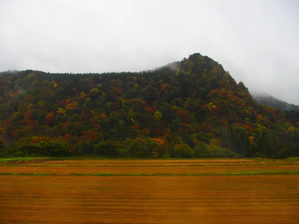 画像12