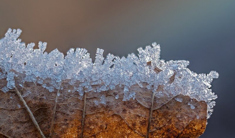 アイス・結晶・枯れ葉・雪の結晶・自然美