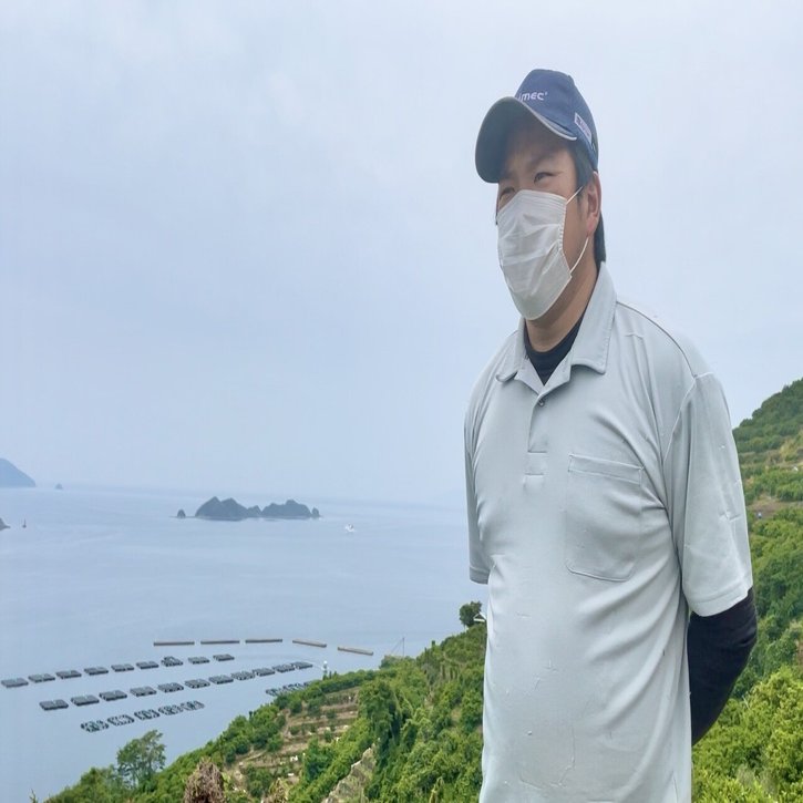 剪定 と 摘蕾 枝と蕾を減らしてみかんに栄養を与える作業 濵田農園 愛媛 八幡浜のみかん農園 Note