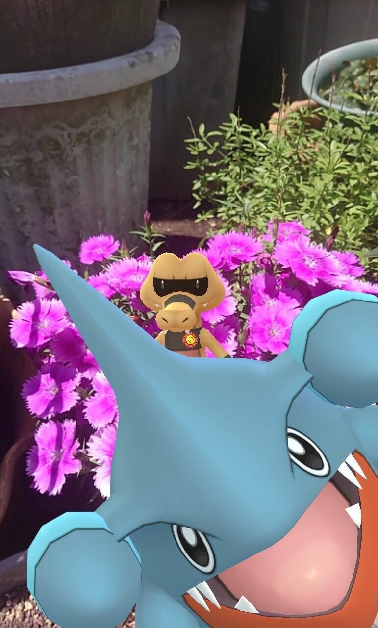 ポケモンgoのフカマル コミュニティ デイ お家でのんびり参加 フカマルが映り込みます 可愛い あぴす Note ポケモンgoのフカマル コミュニティ デイ お家でのんびり参加 フカマルが映り込みます 可愛い あぴす Note