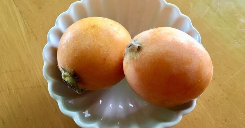 食べ物の恨み の新着タグ記事一覧 Note つくる つながる とどける