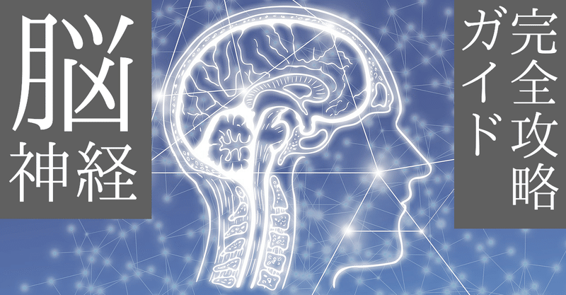 【解剖学】図解イラストとゴロあわせで簡単「脳神経の覚え方完全攻略ガイド」
