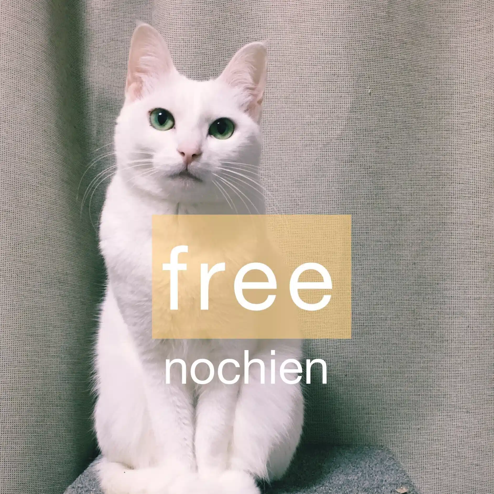 のち園