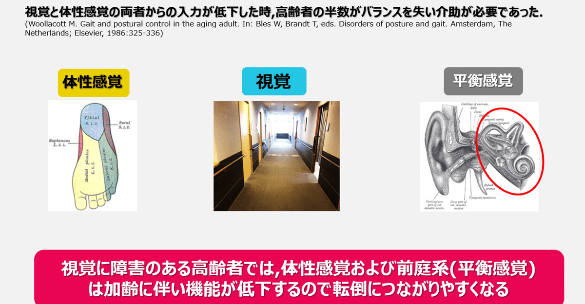 転倒について 第7回 《感覚機能の低下について》｜上田浩司