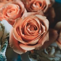 私の神秘体験 2 橘 美優 たちばな みゆう Note 私の神秘体験 2 橘 美優 たちばな みゆう Note