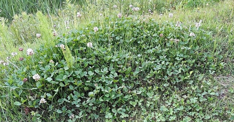 足りないものを欲しがる人の心理 徒手空拳日記 Note