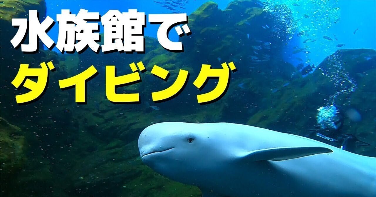 水族館でスナメリとダイビング Shiro Dive Note