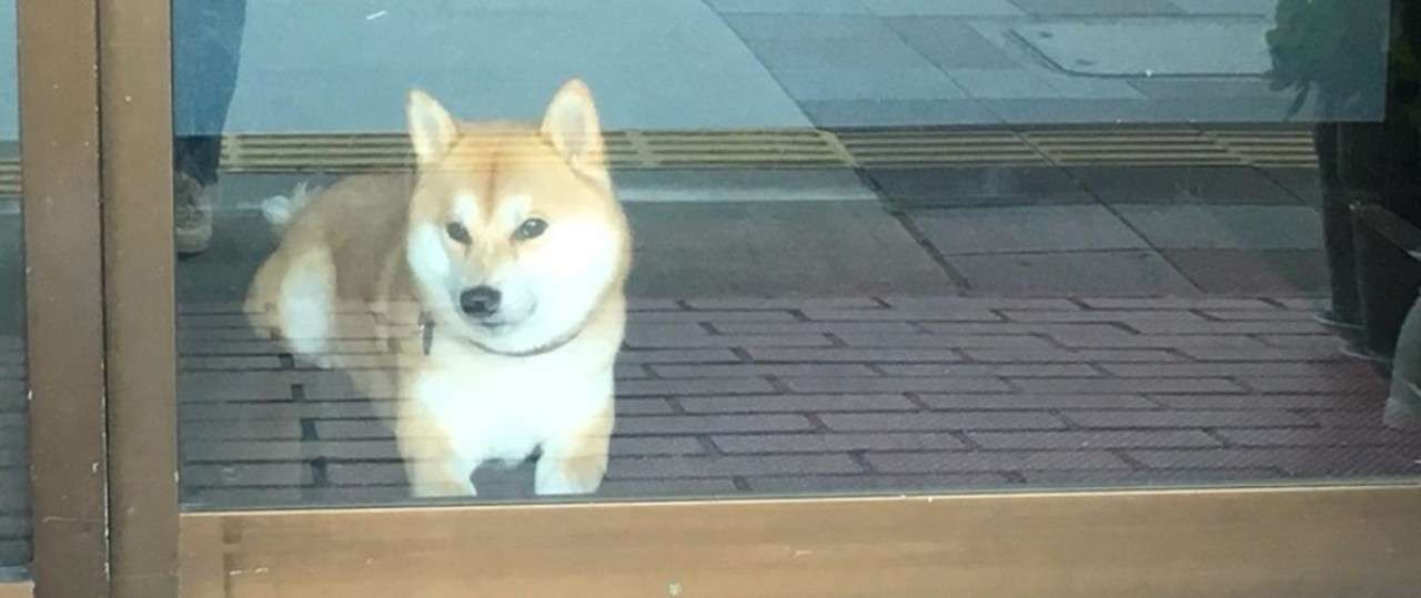 彼氏がいるとあえて言わない問題 Mizuho Note