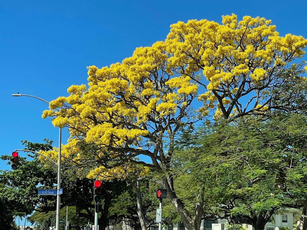 ウォーレン バフェットによれば 偉大な投資家に必要な数学は 足し算 引き算 掛け算 割り算の基本的な数学力と や確率 をすばやくはじきだす能力だけだ そうです これ以上の数学力は無駄でしかないそうです みずあさぎ ハワイ不動産 Note ウォーレン バフェットによれば 偉大な投資家に必要な数学は 足し算 引き算 掛け算 割り算の基本的な数学力と や確率 をすばやくはじきだす能力だけだ そうです これ以上の数学力は無駄でしかないそうです みずあさぎ ハワイ不動産 Note