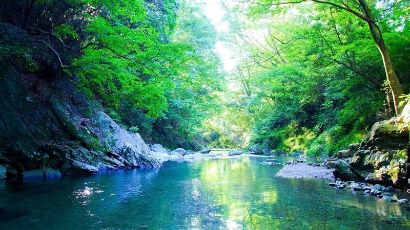 30秒ですぐ絶景。埼玉の秘境「三波渓谷」で出会った神秘的な景色 - TRiP EDiTOR