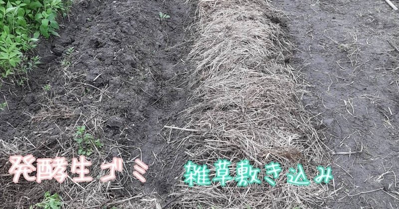 みみず畑で菌ちゃん土作り Mimizubatake Note