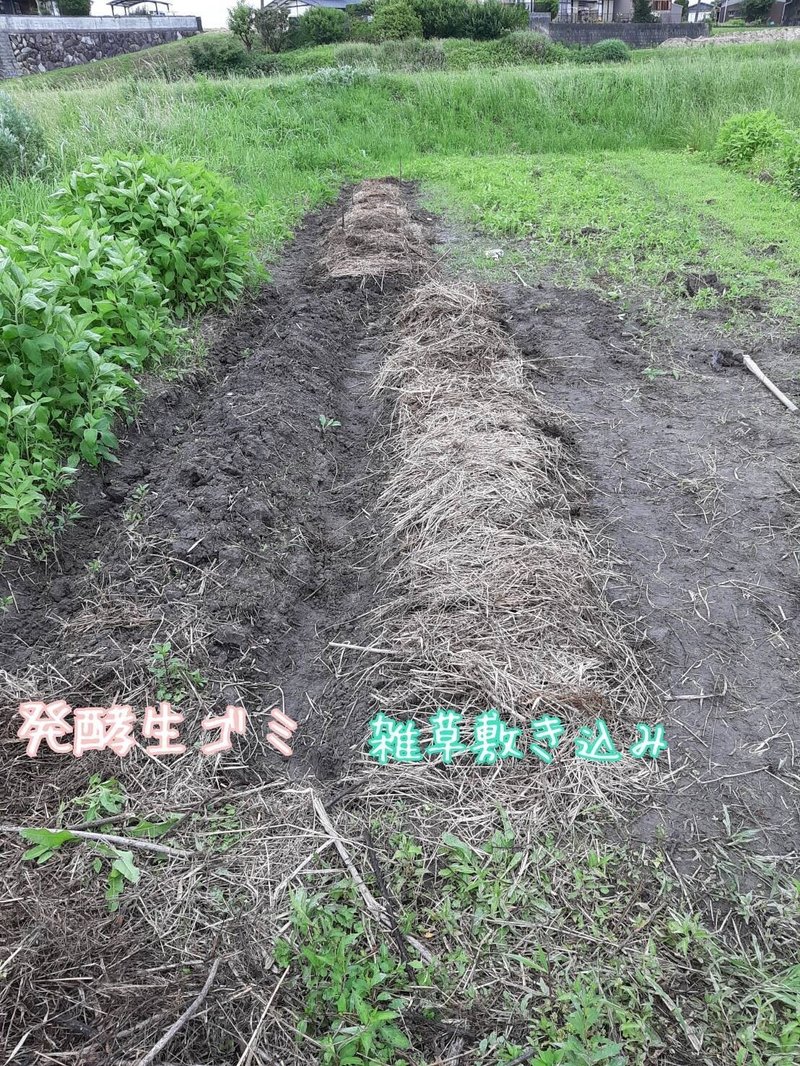 みみず畑で菌ちゃん土作り Mimizubatake Note
