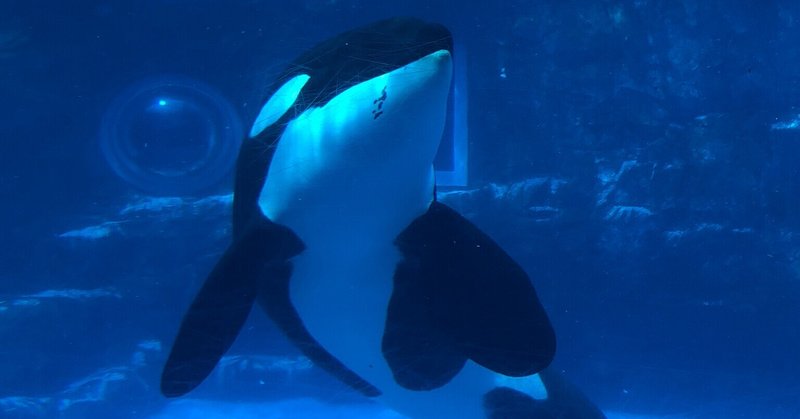 名古屋港水族館 の新着タグ記事一覧 Note つくる つながる とどける 名古屋港水族館 の新着タグ記事一覧 Note つくる つながる とどける