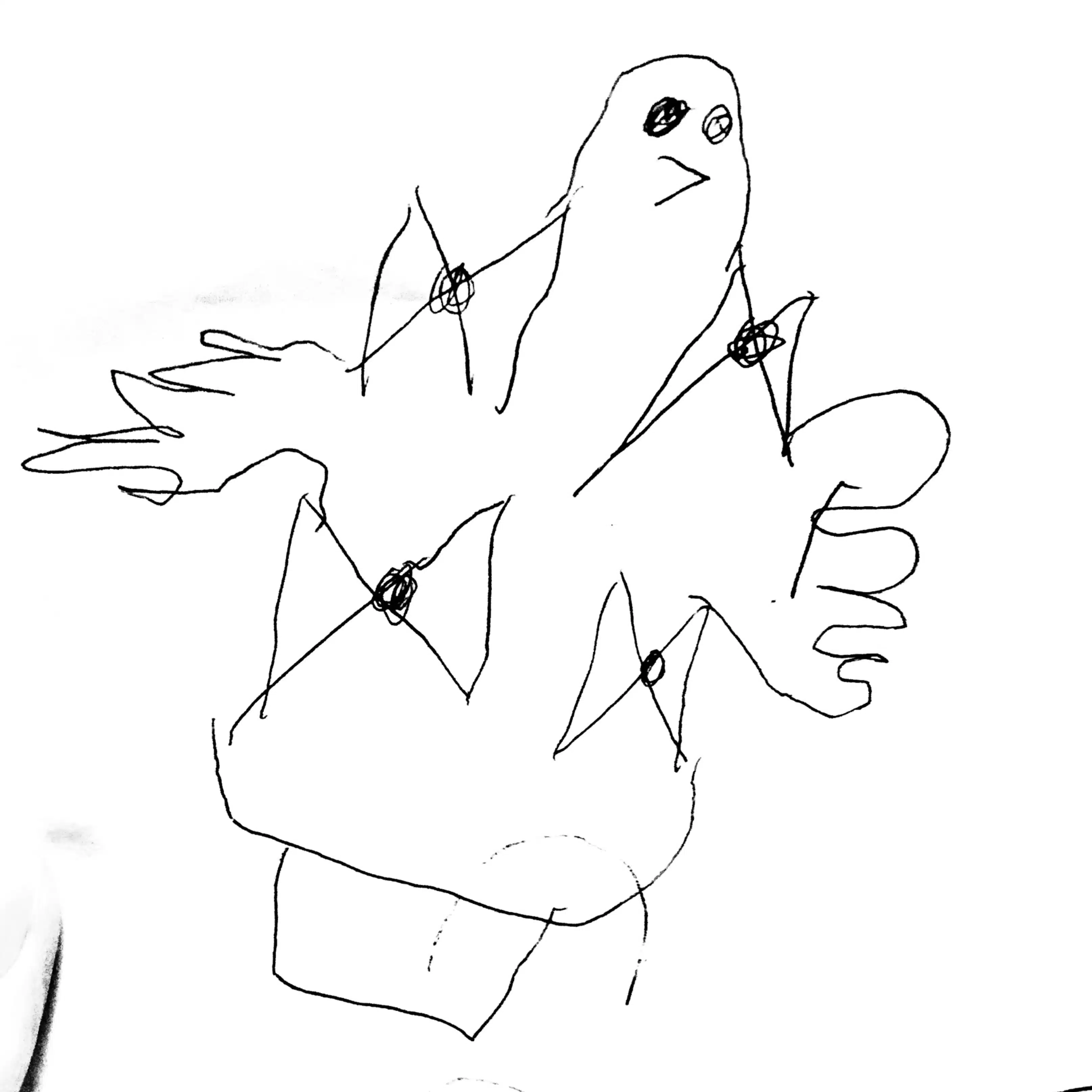 かもがわはね