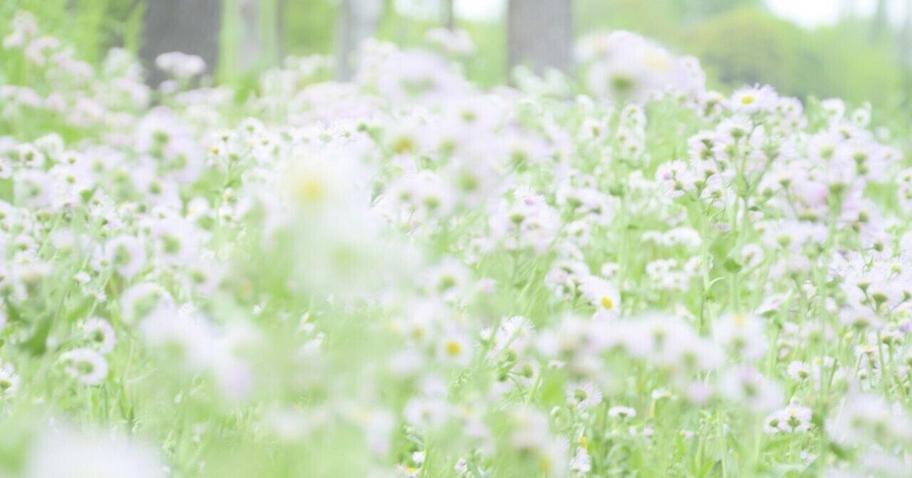 幼稚園から保育園に転園することにしました にゃんこ マークアップの人 Note