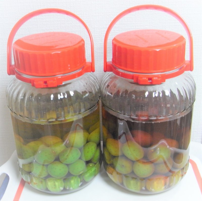 最期の晩餐は梅酒をひとさじ 花 丸恵 Note