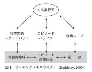 脳科学から格闘ゲームについて考えてみた Output編 ワーキングメモリ しゅうと Note 脳科学から格闘ゲームについて考えてみた Output編 ワーキングメモリ しゅうと Note