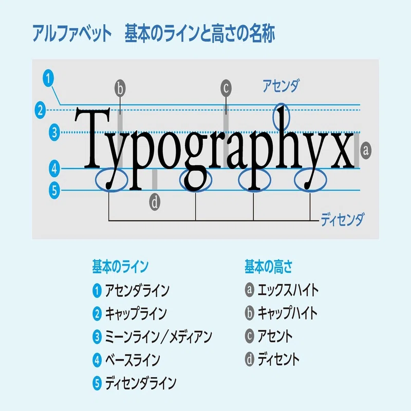 確認ページ(付け下げ) 奥深し