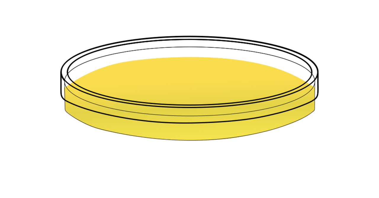 果物に存在する菌を培養してみた 1 山田研究室人工コピルアク作成プロジェクト Note 果物に存在する菌を培養してみた 1 山田研究室人工コピルアク作成プロジェクト Note