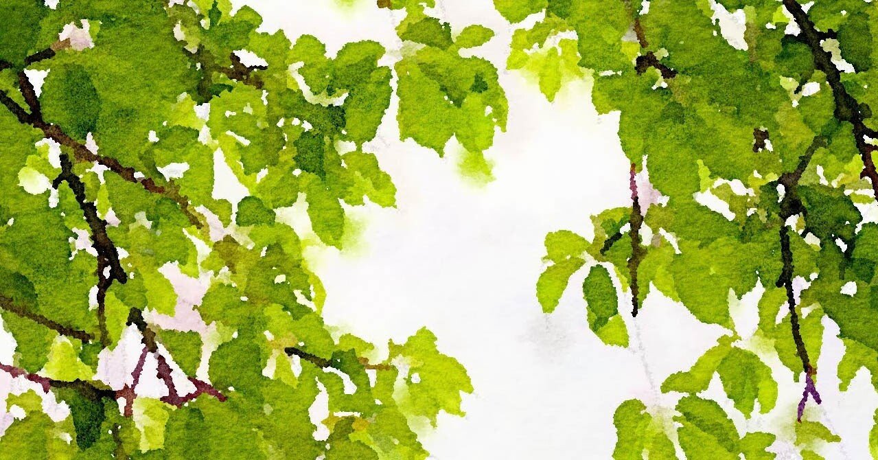 花と緑がもたらす癒しの効果 Jcebpとは Note