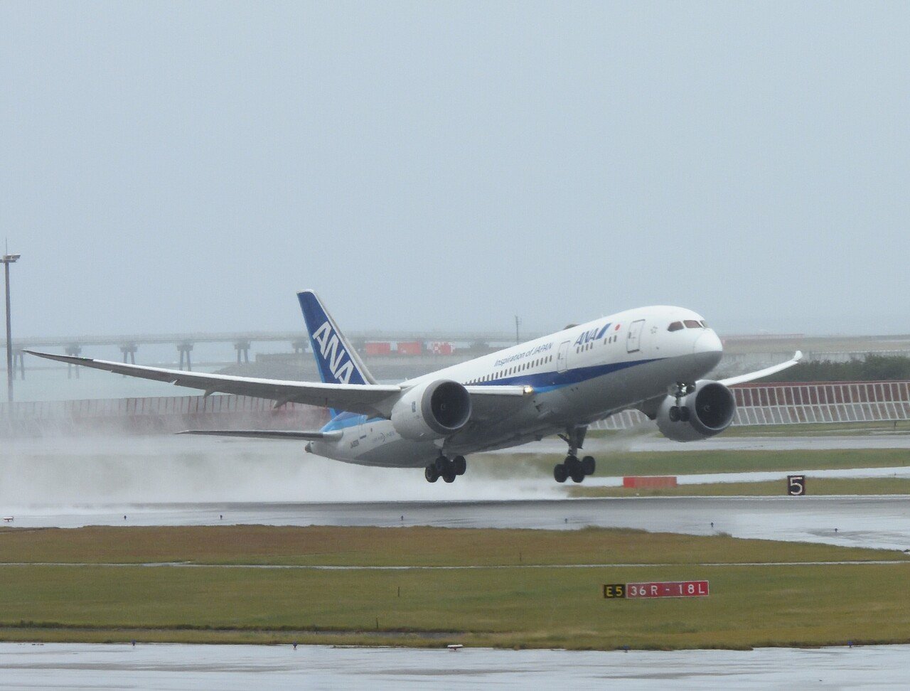 COOLPIX P950 レビュー｜はるのき