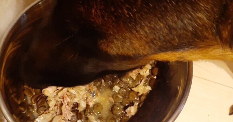 鶏頭水煮 Yggpet Note