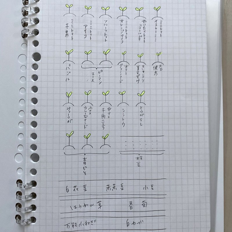 5 23 苗 種植え付け たぁ Note 5 23 苗 種植え付け たぁ Note