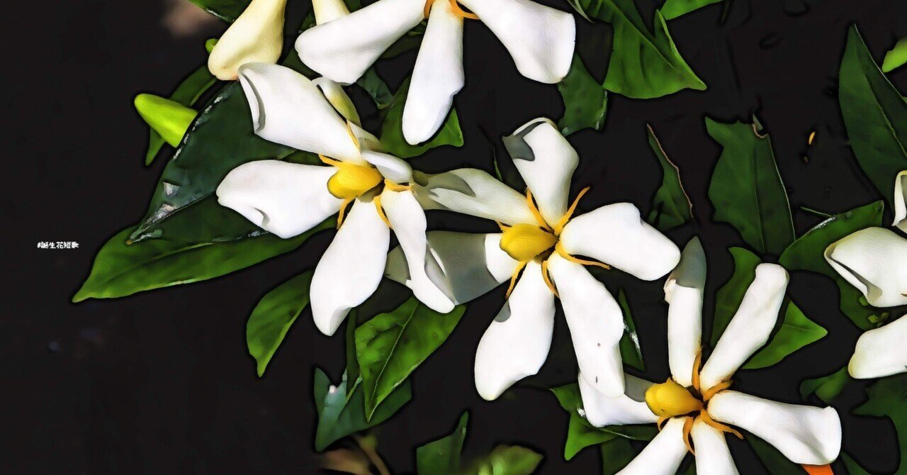 6月7日 誕生花は山梔子 誕生花短歌 御子柴 流歌 Note 6月7日 誕生花は山梔子 誕生花短歌 御子柴 流歌 Note