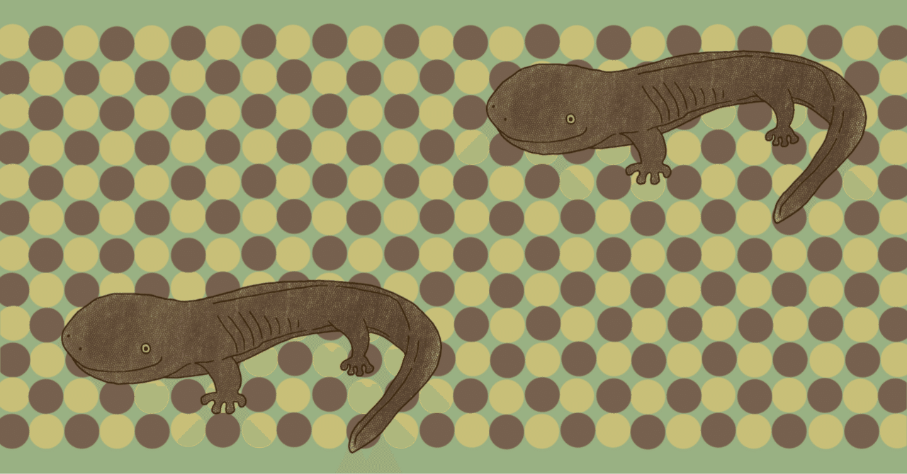 オオサンショウウオがやってきました Marmalade Note