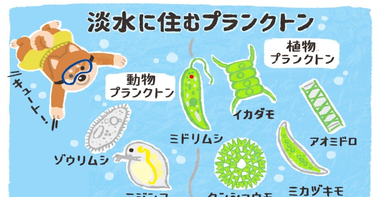 人間をビビらせる為に多数がうろ覚えなまま大人になってそうな事を覚える柴犬 ヨロ吉 Note