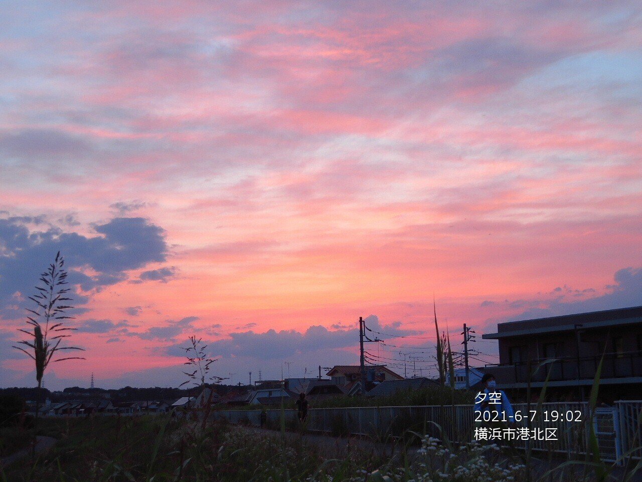 淡いピンクの夕空に出会いました ひろくま Note