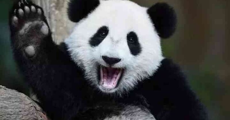 毎日楽しい自分を手に入れたい人は 他にいませんか あなたの毎日を 楽しい にするナビゲーター 今井典和 Note