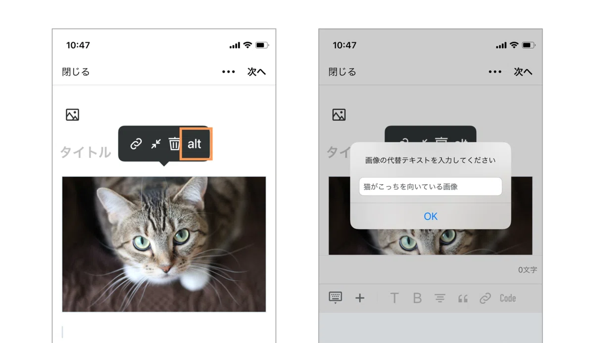 altを入力出来る場所を説明した図