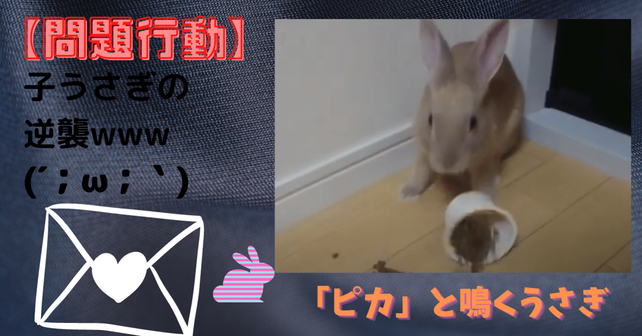 子うさぎ の新着タグ記事一覧 Note つくる つながる とどける
