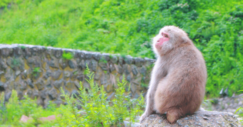 人間は考える葦である の新着タグ記事一覧 note つくる つながる とどける