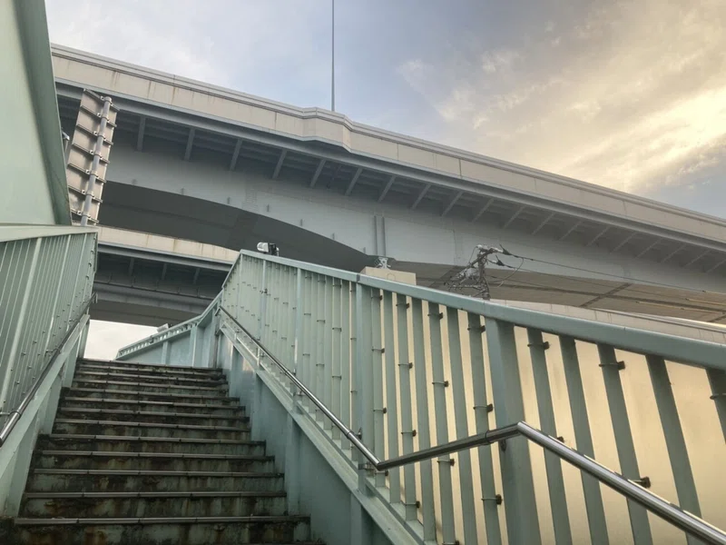 画像7