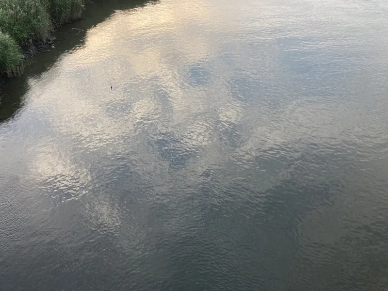 画像15