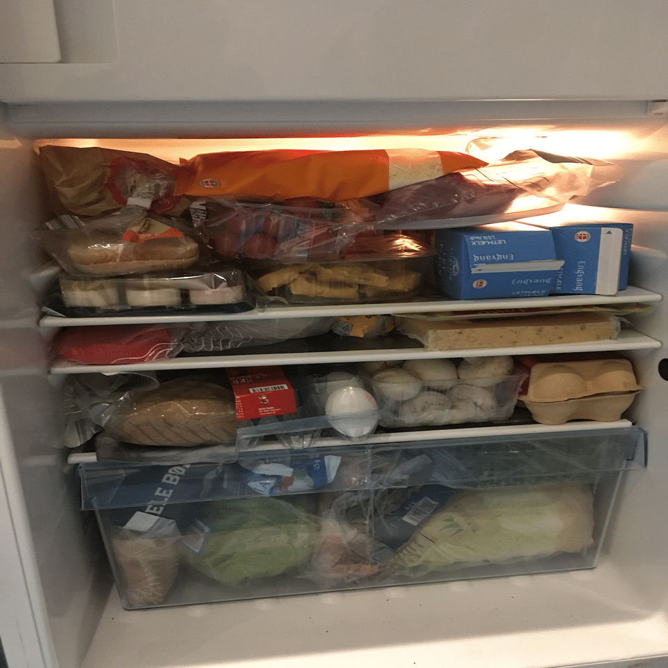 デンマーク製 高級!?冷凍庫