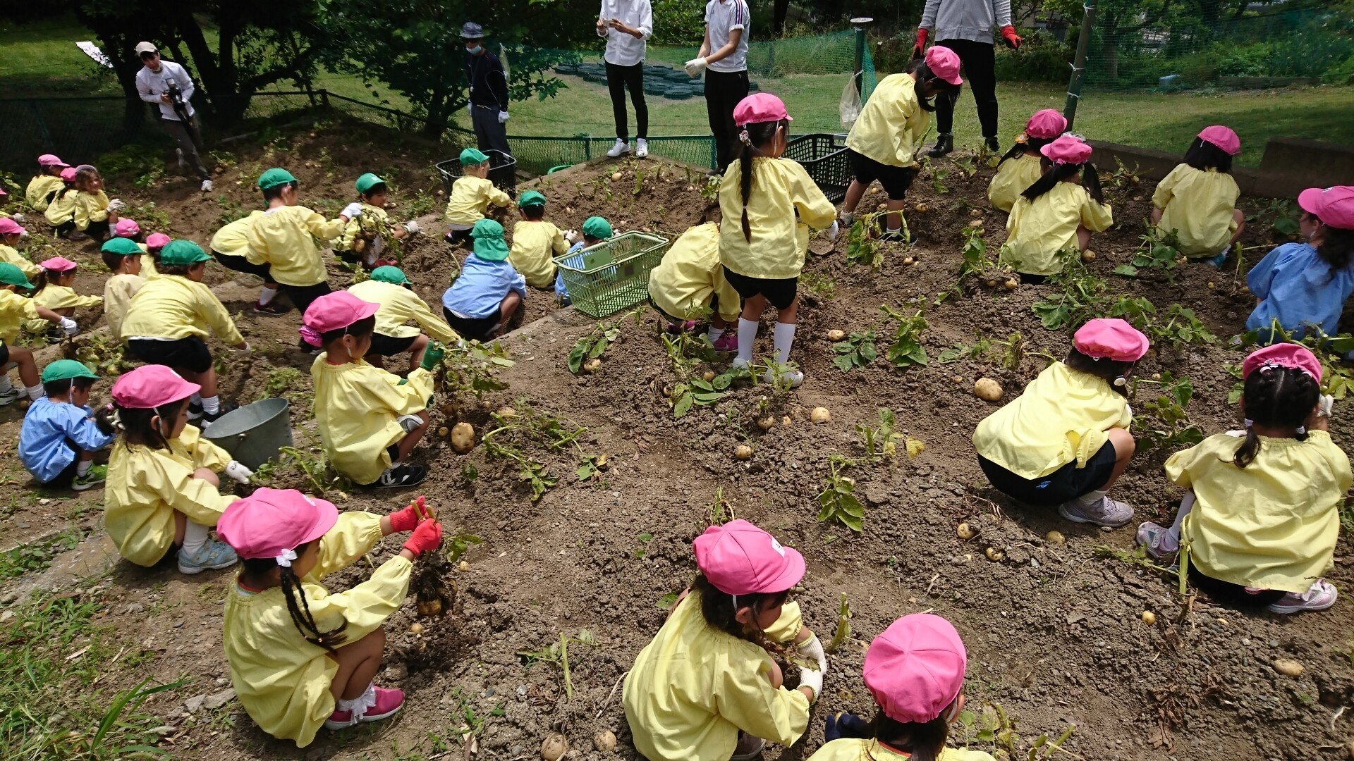 ジャガイモ堀 絵を描きました 園長徒然たより Note