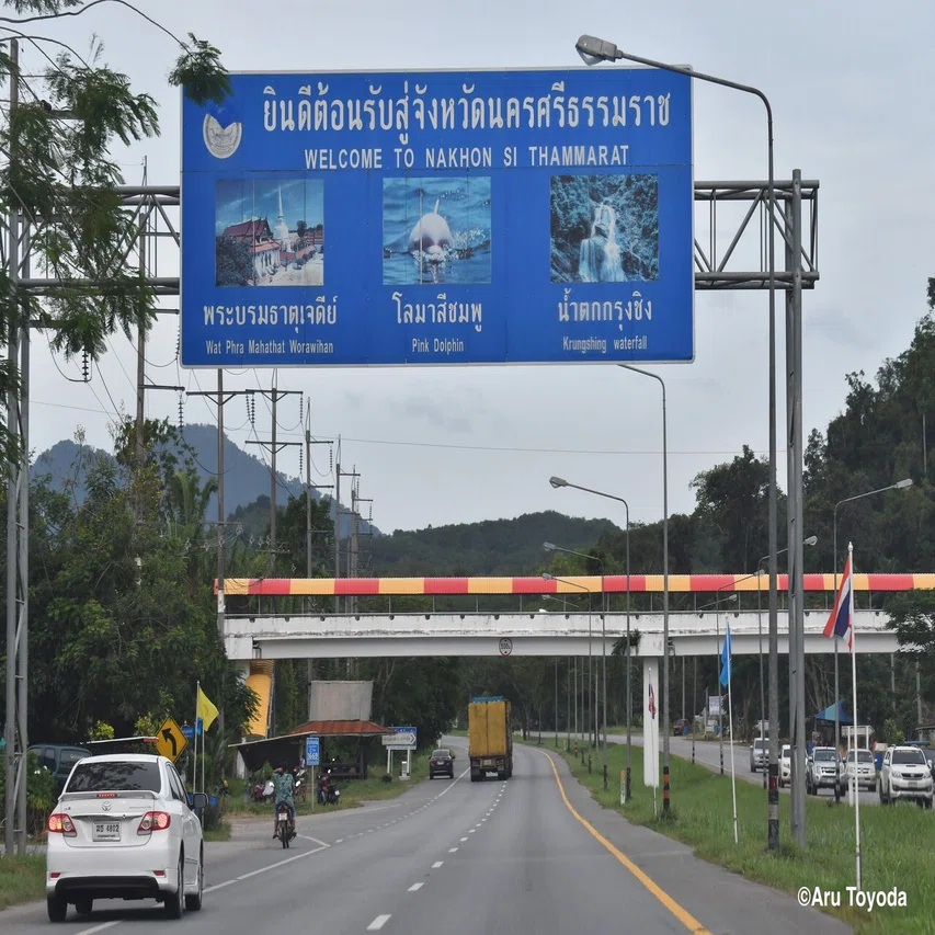 タイサル 第話 南部調査その 見慣れたサルのはずなのに ベニガオザル編 豊田有 霊長類研究 タイ王国 Note