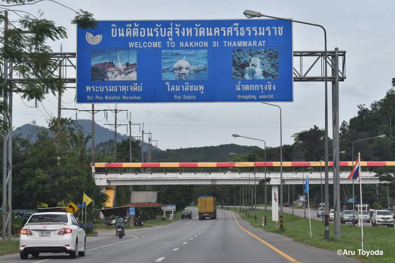 タイサル 第話 南部調査その 見慣れたサルのはずなのに ベニガオザル編 豊田有 霊長類研究 タイ王国 Note タイサル 第話 南部調査その 見慣れたサルのはずなのに ベニガオザル編 豊田有 霊長類研究 タイ王国 Note