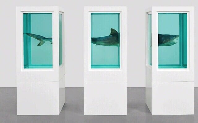 それどころじゃない、ダミアン・ハースト｜catballer