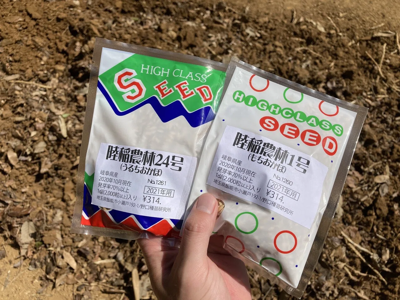 自然農法×バケツで始める米づくり1。福岡正信氏育成のお米『ハッピー