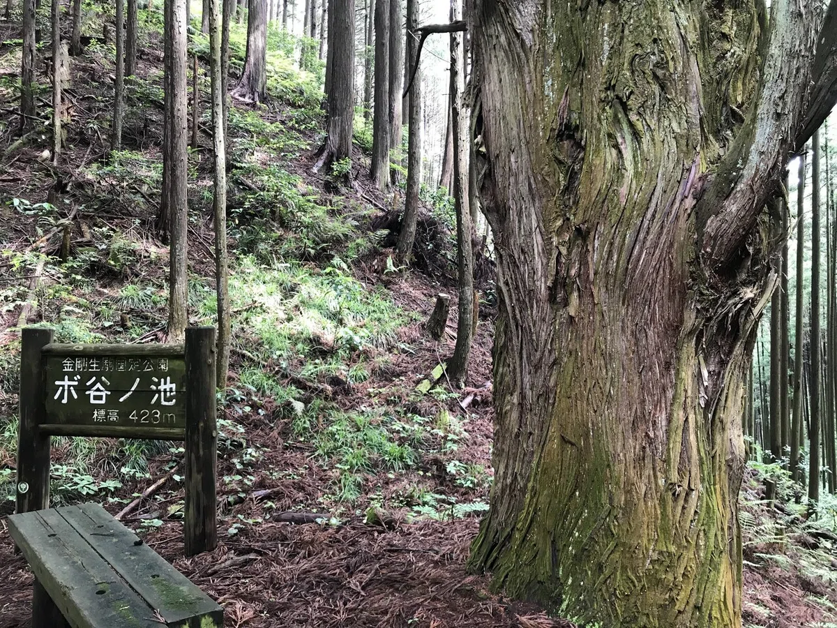 画像5