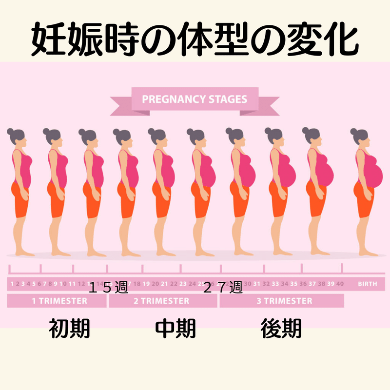 女性のからだの変化 妊娠 Megumi Note 女性のからだの変化 妊娠 Megumi Note