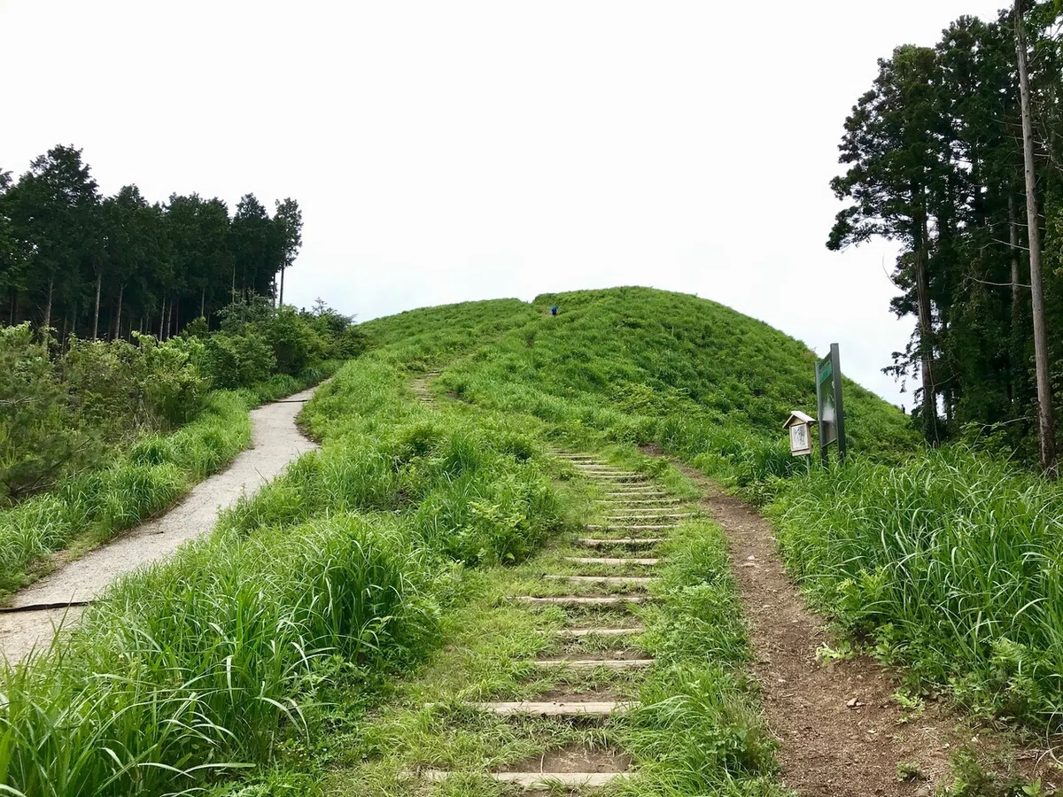画像8