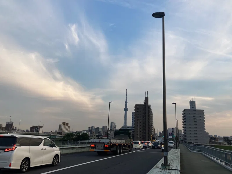 画像15