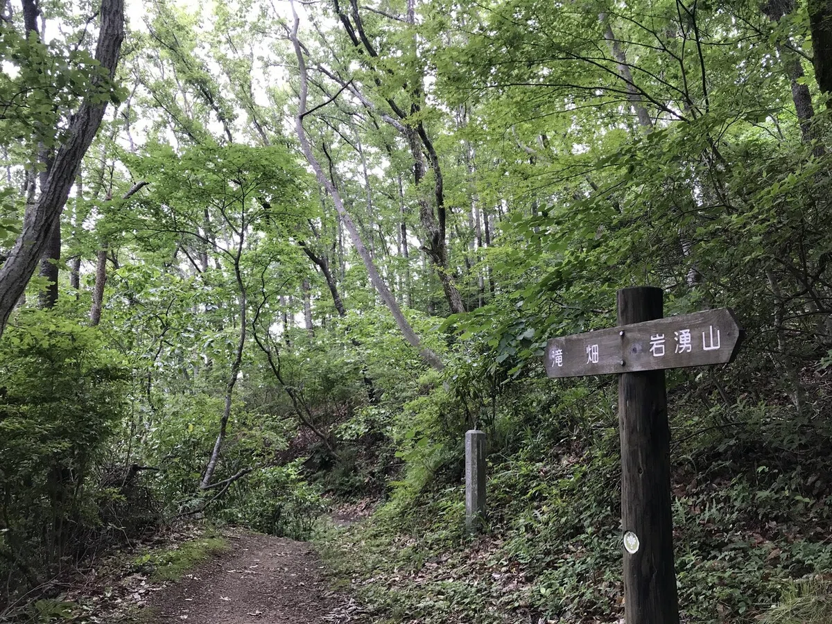 画像11