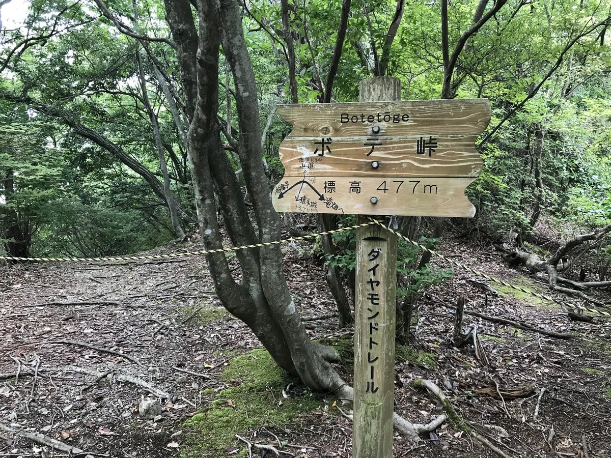 画像14