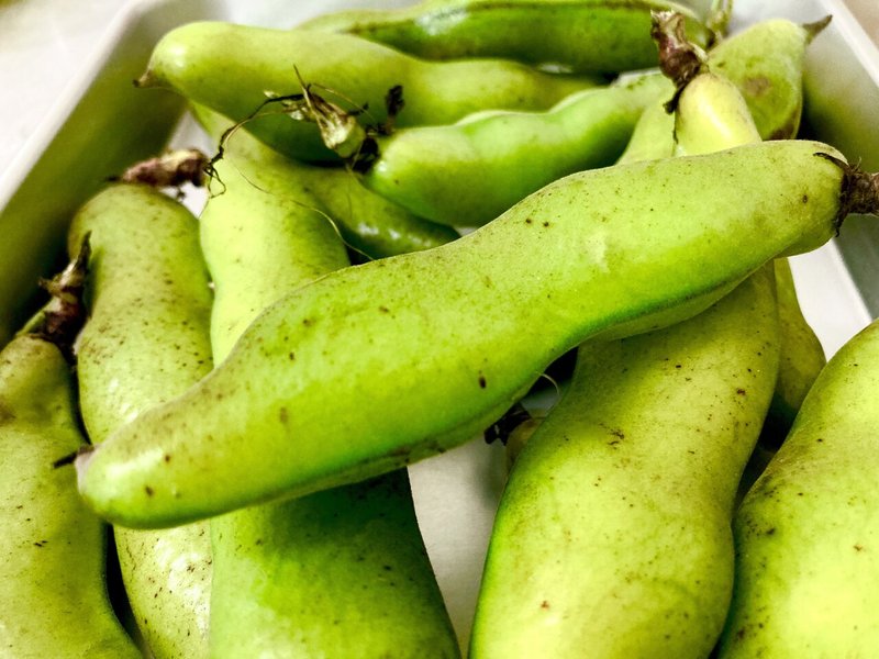 芒種 No 13 夏空に憧れたそら豆のポタージュ まつばらあや Note